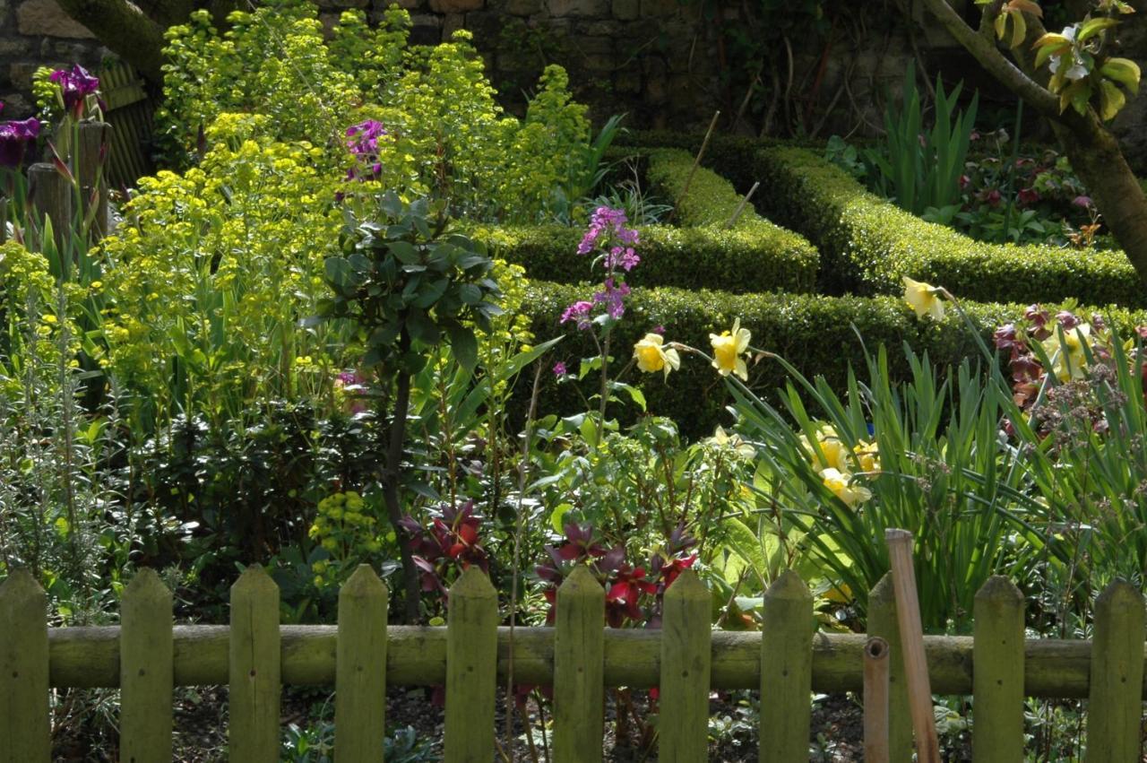 44 Rue Cap Bed & Breakfast Caen Bagian luar foto