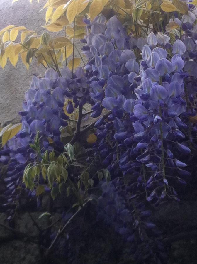 44 Rue Cap Bed & Breakfast Caen Bagian luar foto