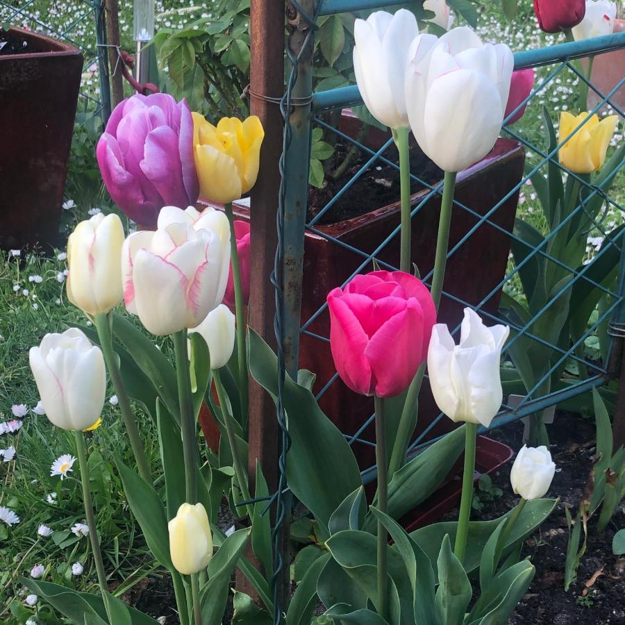 44 Rue Cap Bed & Breakfast Caen Bagian luar foto